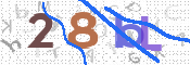 Code Anti-spam