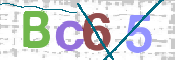 Code Anti-spam