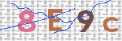 Code Anti-spam