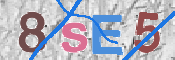 Code Anti-spam