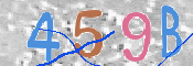 Code Anti-spam