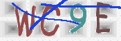 Code Anti-spam